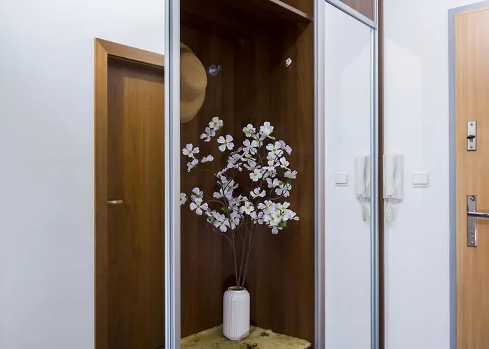 Connect Apartmán *