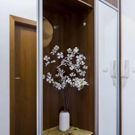 Connect Apartament *
